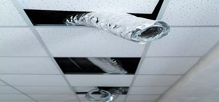 Our Air Duct Pet Hair Removal Services in Van Buren, AR