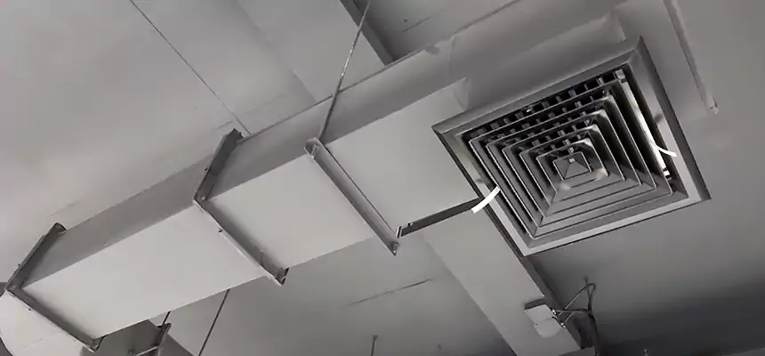 Our Pest Removal From Ducts Services in Van Buren, AR