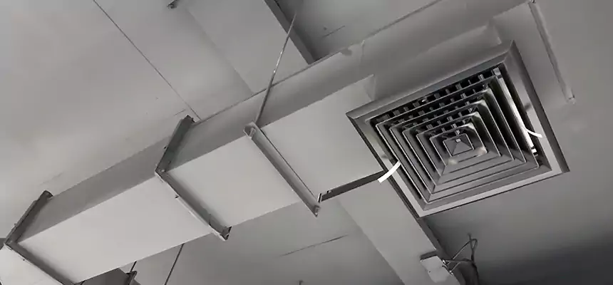 Our Rodent Droppings In Vents Services in Van Buren, AR