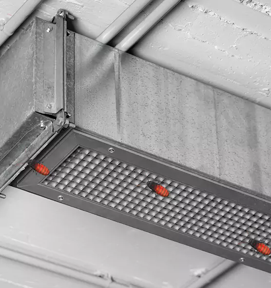 Affordable Insect Removal from Air Ducts in Van Buren, AR