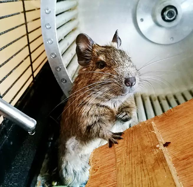 Why Homeowners & Businesses Trust Us Van Buren, AR