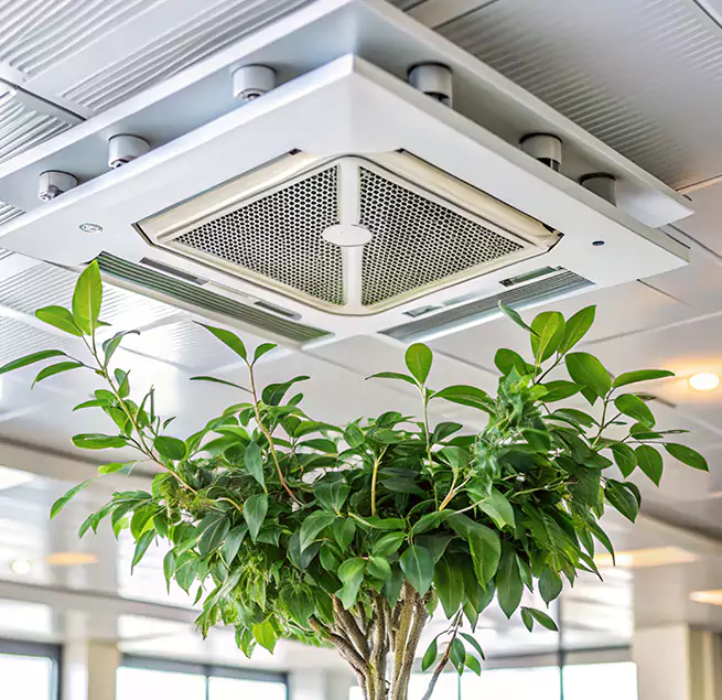 Why Homeowners & Businesses Trust Us in Van Buren, AR?