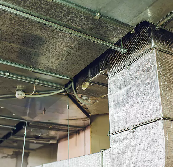 Why Homeowners & Businesses Trust Us in Van Buren, AR?